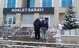Van’da 6 organizatör tutuklandı