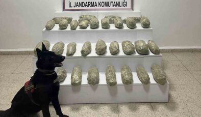 Van’ın Başkale ilçesinde 21 kilo 350 gram skunk maddesi ele geçirildi
